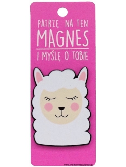 Magnes RAINBOW -...